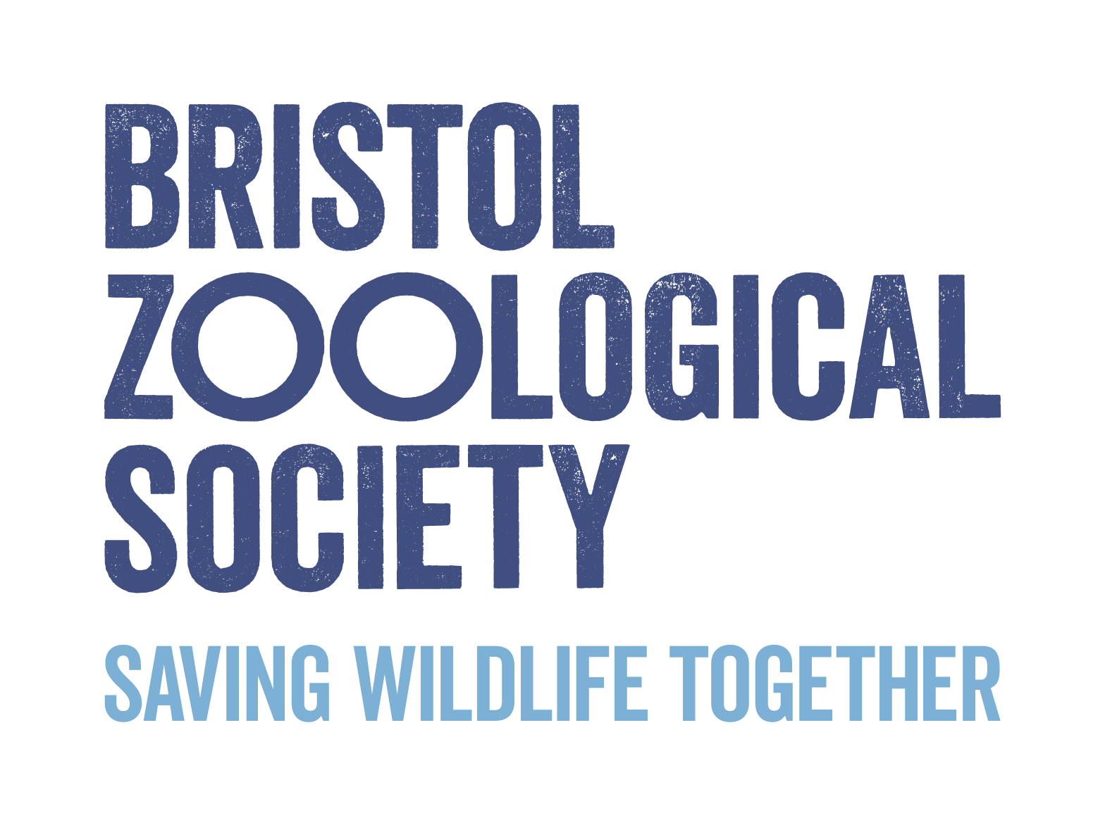 Bristol Zoo Project image